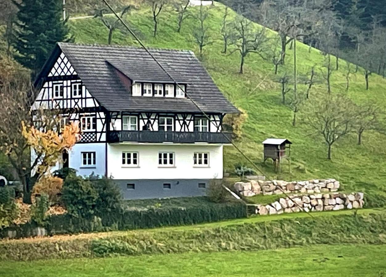 Ferienwohnung Hesselbach Oberkirch  Ngoại thất bức ảnh