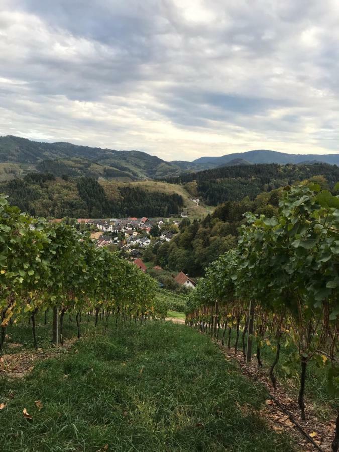 Ferienwohnung Hesselbach Oberkirch  Ngoại thất bức ảnh