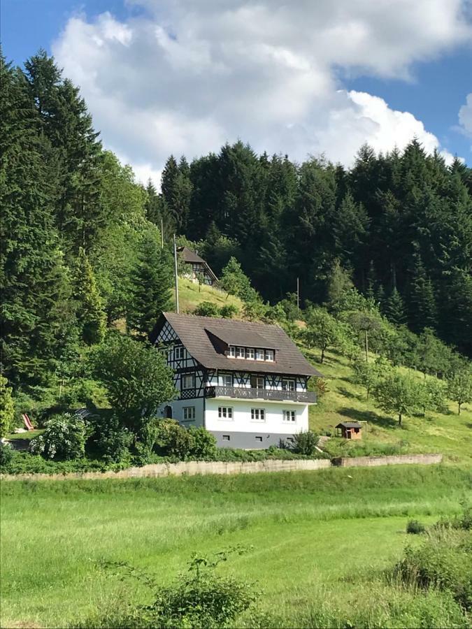 Ferienwohnung Hesselbach Oberkirch  Ngoại thất bức ảnh